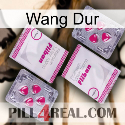 Hard Wang 33